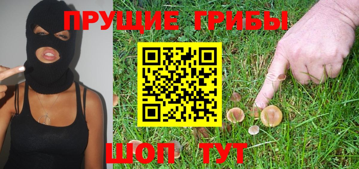 Псилоцибиновые грибы мицелий Лангепас