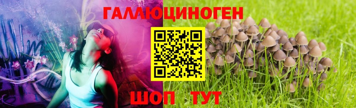 Лангепас  Псилоцибиновые грибы GOLDEN TEACHER  Вход с VPN  Галлюциногенные грибы мухоморы 
